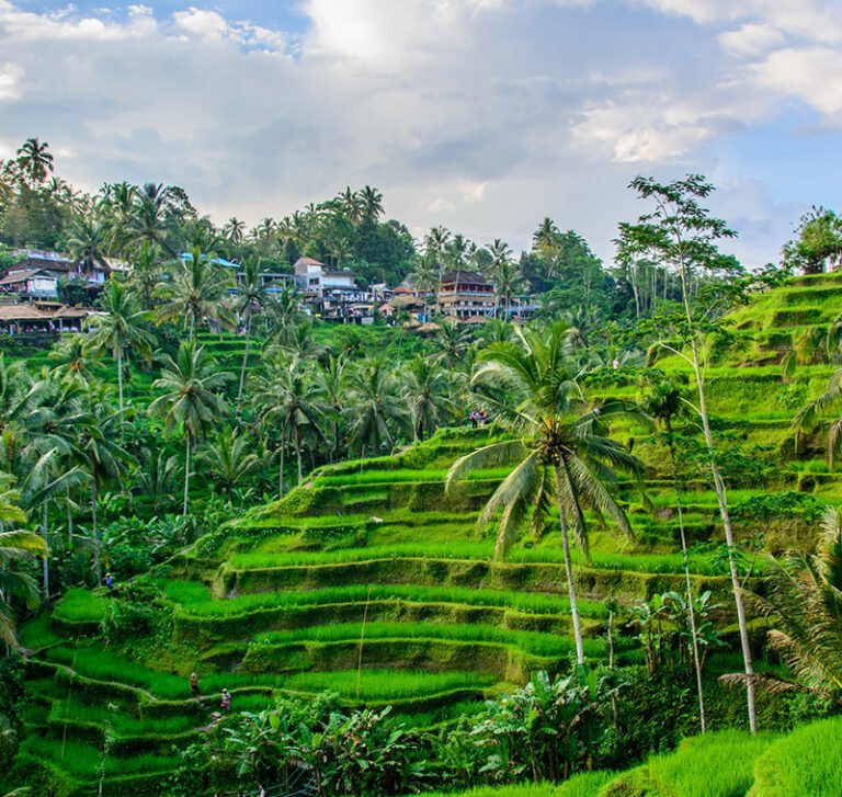 expatriation-ubud-indonésie-expatbuddy